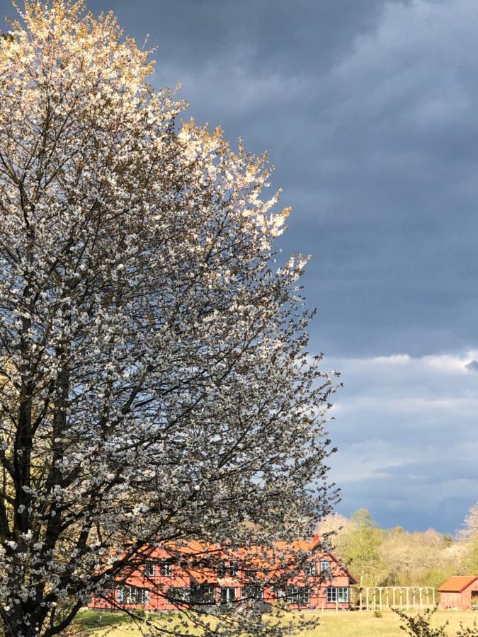 Villa Hasselbacken Simrishamn Exteriör bild