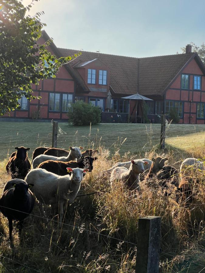 Villa Hasselbacken Simrishamn Exteriör bild